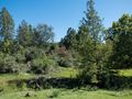 Parque rural de Roberto Justo Robiolo