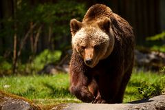 FC Ausflug Tierpark Hellabrunn 01