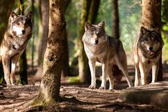 FC Ausflug Tierpark Hellabrunn 06