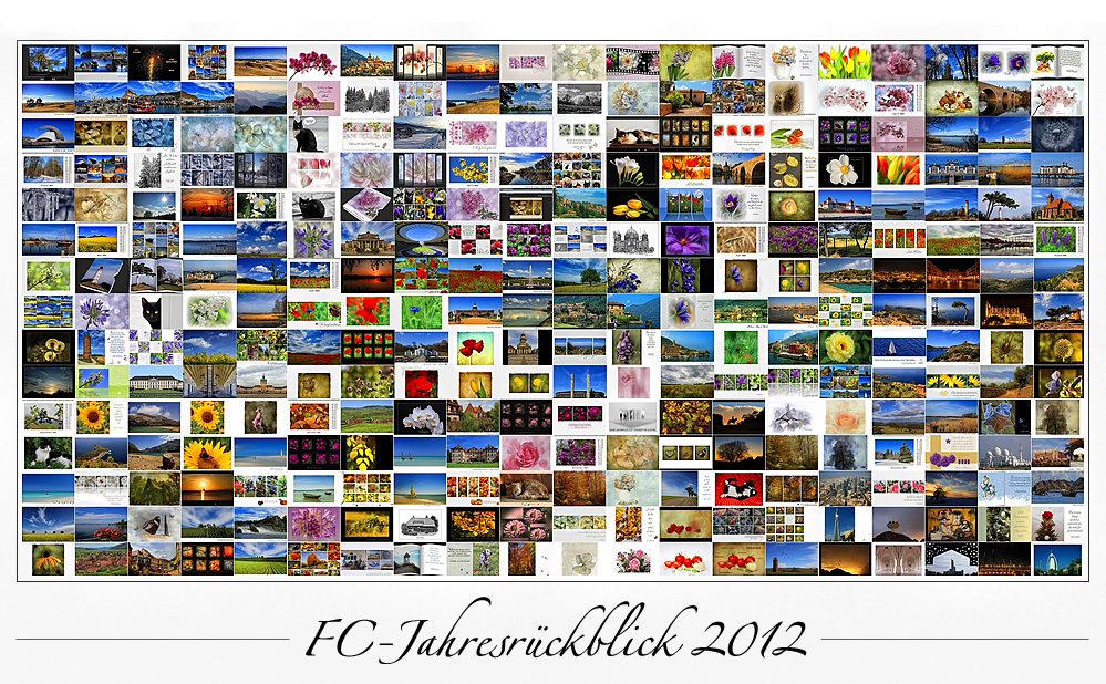 FC-JAHRESRÜCKBLICK 2012