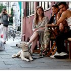 fc-ler fotografiert in der schanze einen hund