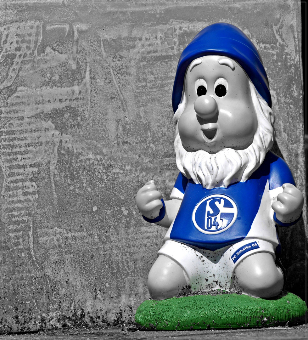 FC Schalke 04