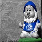 FC Schalke 04