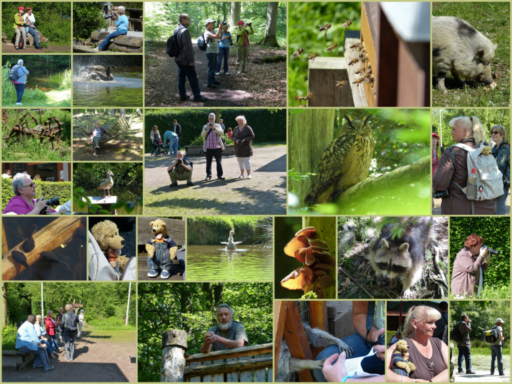 FC-Treffen im Wildwald Vosswinkel