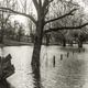 Hochwasser in Friemersheim 2