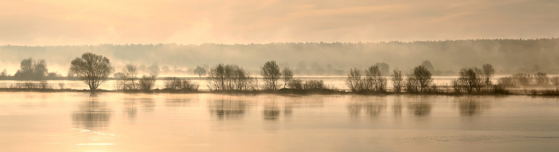 Morgennebel  von Zina Heg