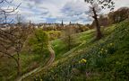Spring in Edinburgh von Paddy Timm