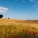 Campos de la Segarra