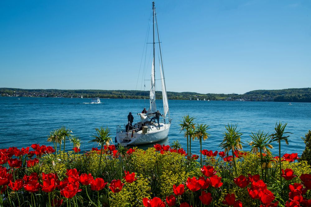 Segeln im Frühling auf dem Bodensee von Joka61