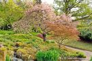 Japanischer Garten Kaiserslautern von keana06