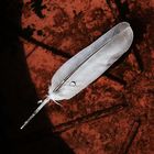 Feather