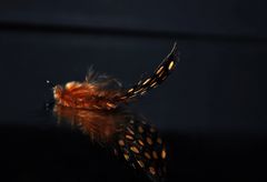 feather