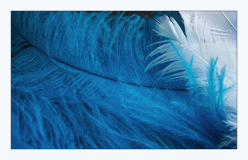 feather