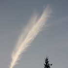 Feather in the Sky