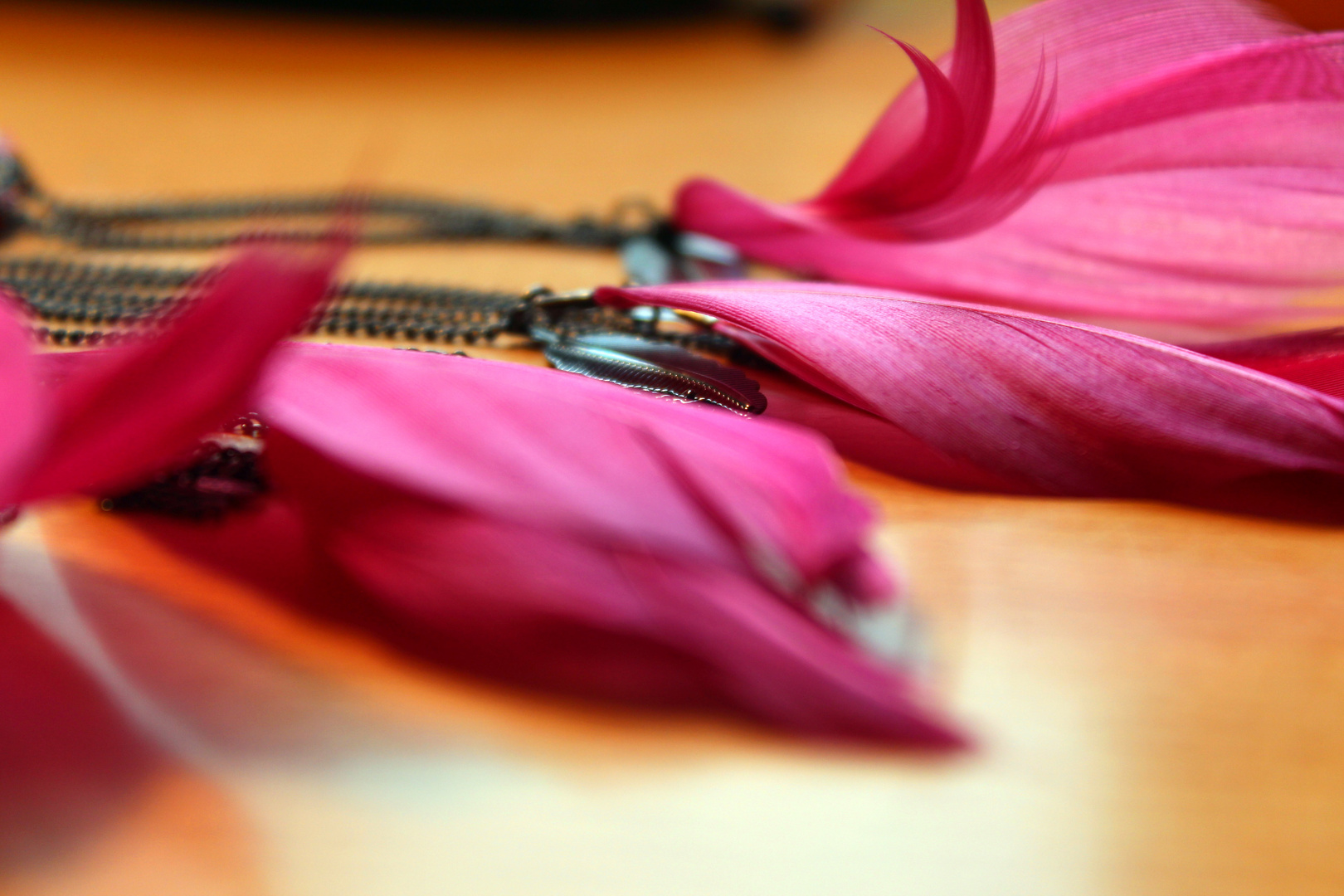 Feather Necklace