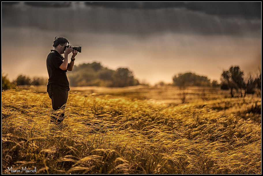 Feathergrass Photographer