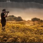 Feathergrass Photographer