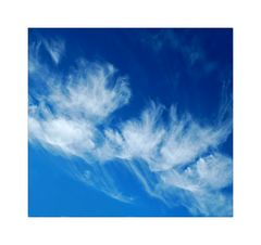 feathers on a blue sky