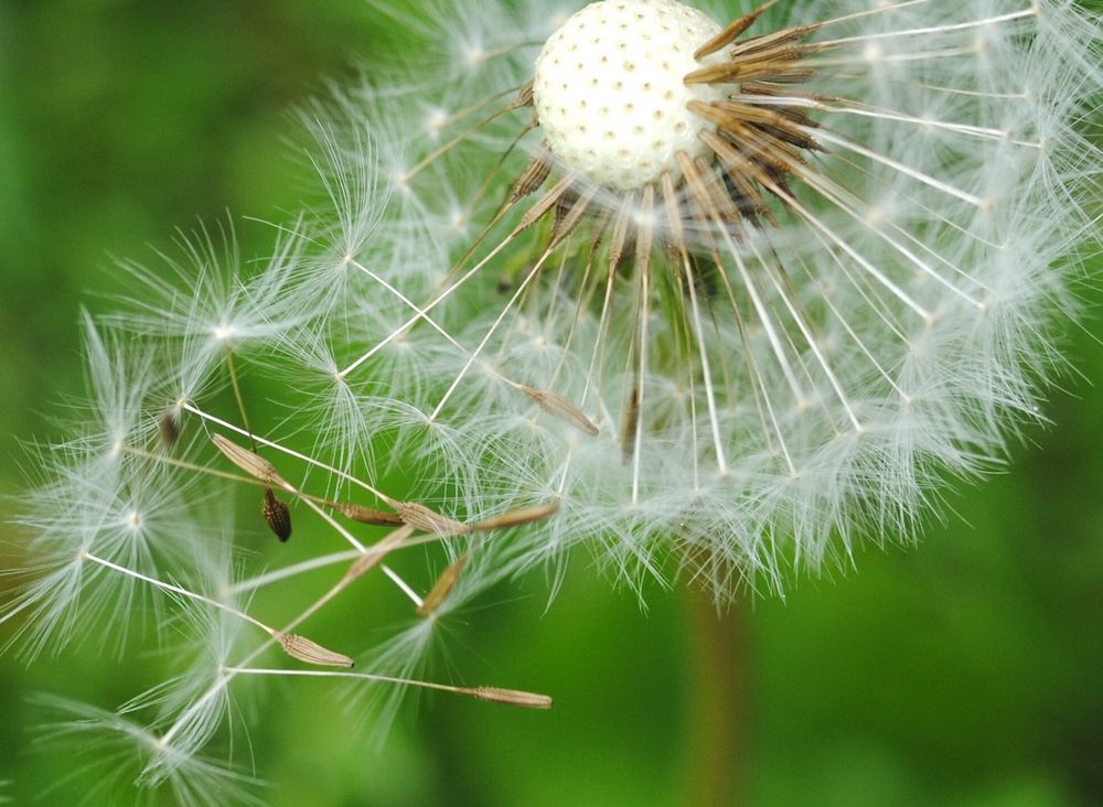 bereit zum abheben von sommermärchenHD 