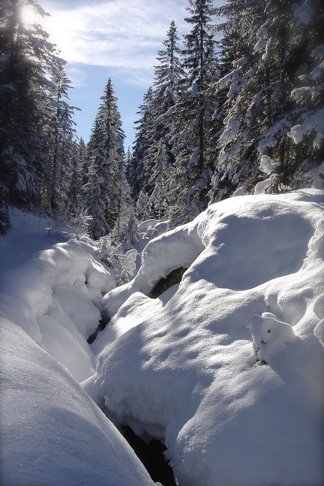 Februar 2008 in Tyrol