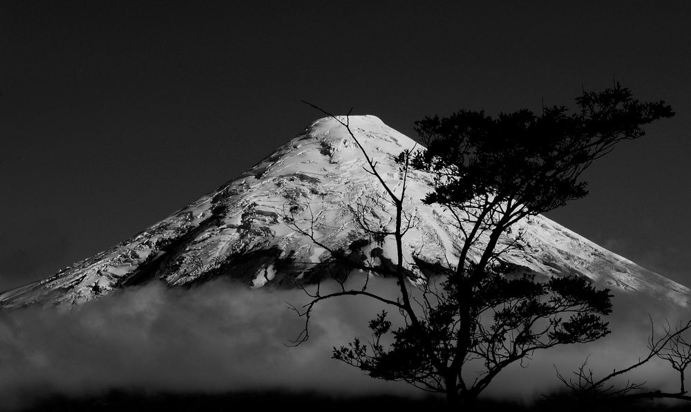 februar 2008 - patagonien ...