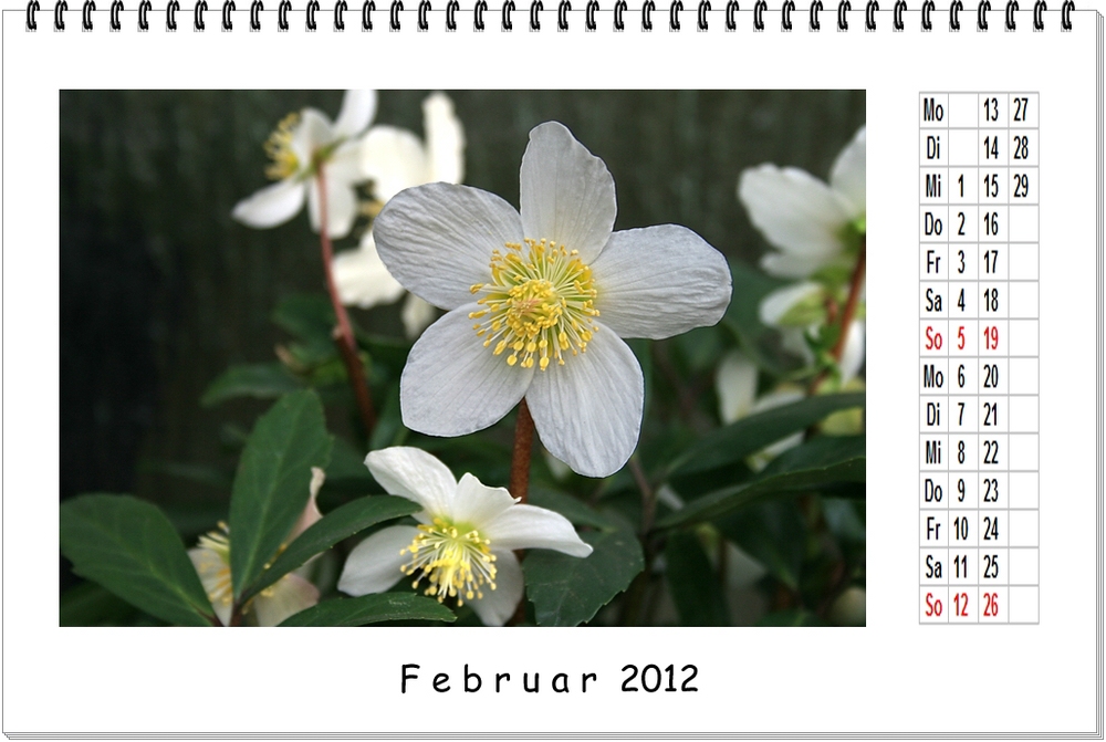 FEBRUAR 2012