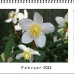 FEBRUAR 2012