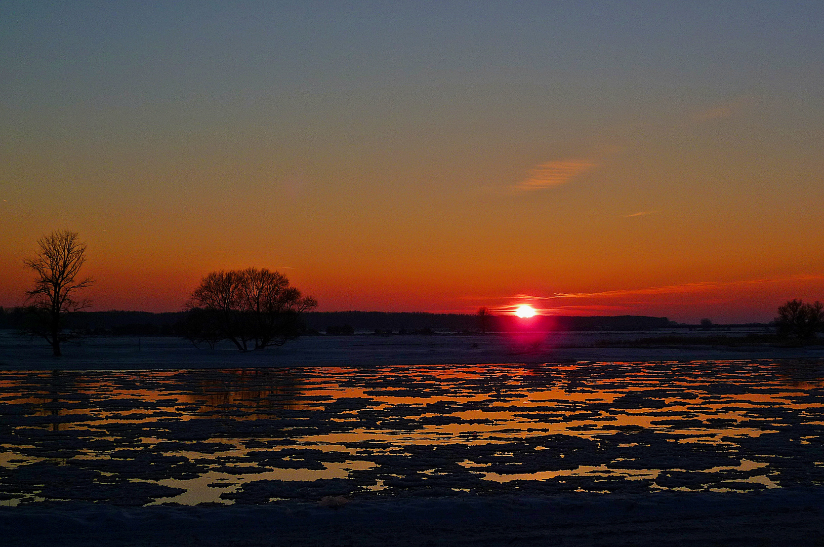 ....Februar 2012 an der Elbe.....