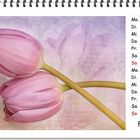 FEBRUAR 2014