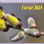 Februar 2024