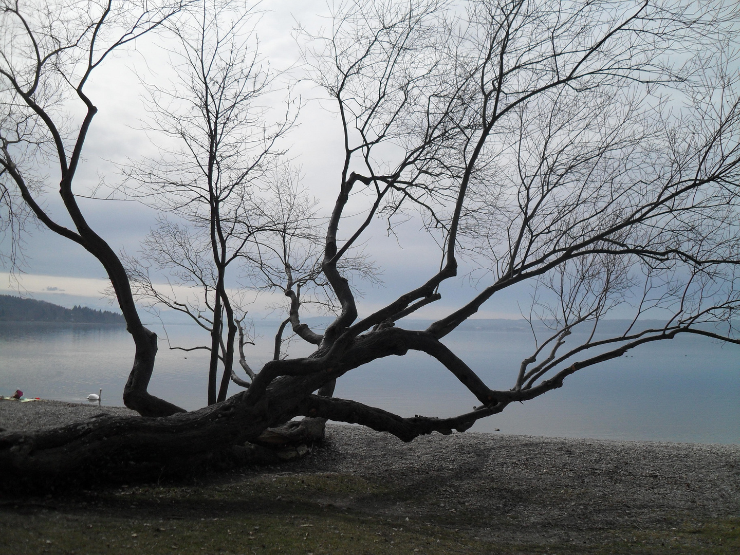 Februar am Ammersee