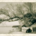 Februar am Kochelsee