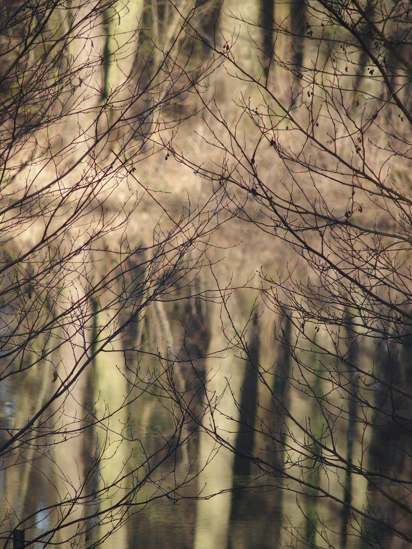 Februar an den Kuhlen 1