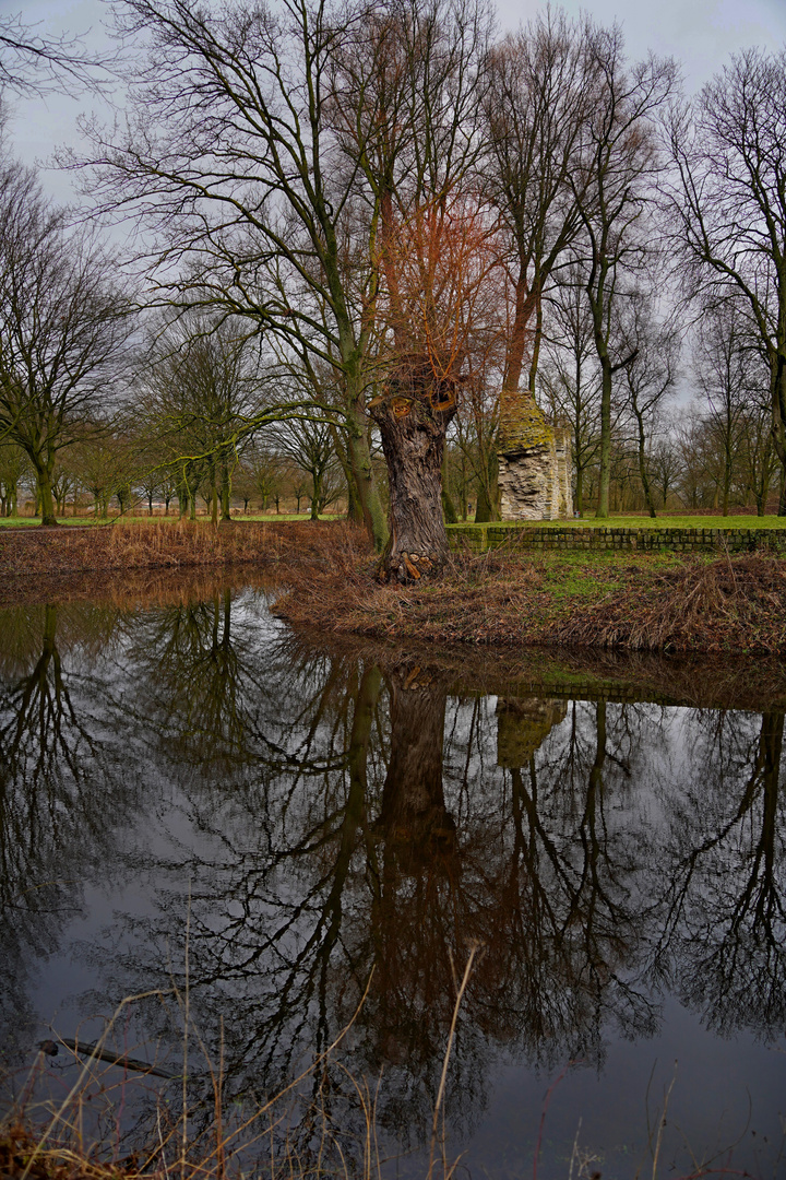 Februar an der Burgruine