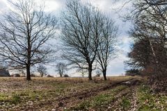 Februar auf dem Stennweiler Flur