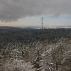 Februar auf dem Waldstein