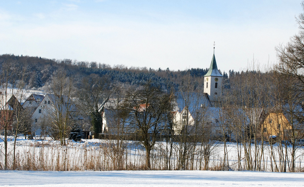 Februar - Hinter Sträuchern und Hecken