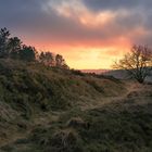 Februar im Harz bei Clausthal Zellerfeld .