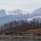 Februar im Kanderdelta