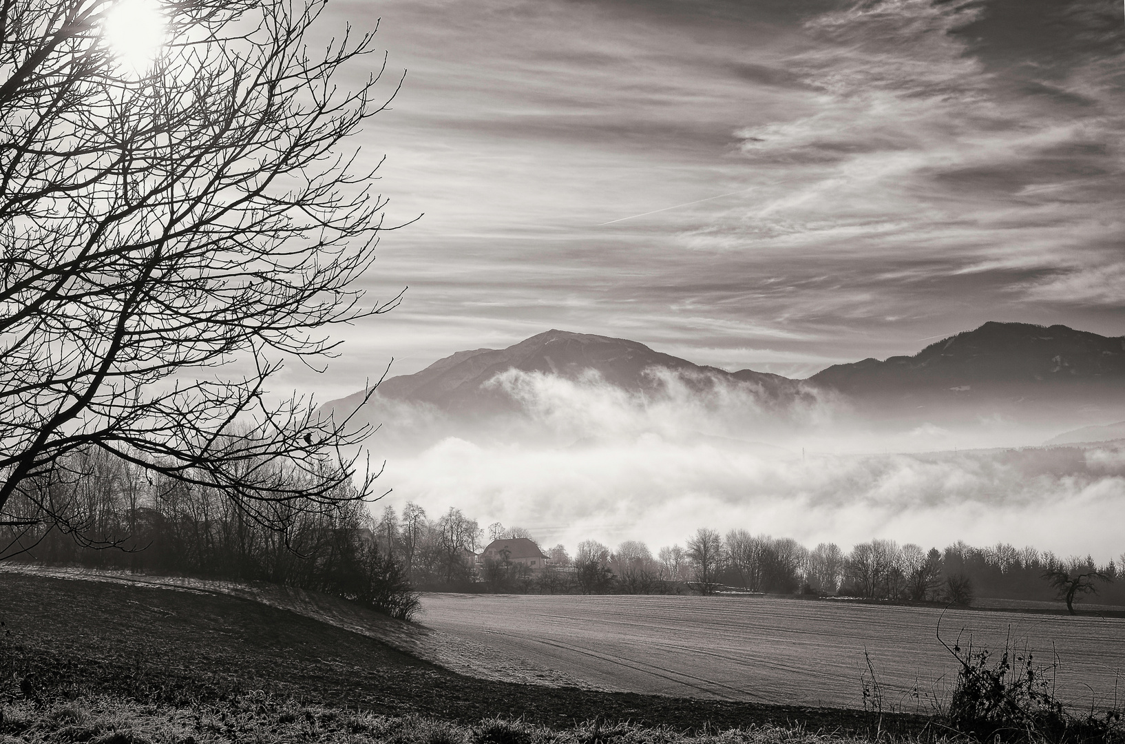 Februar im Nebel