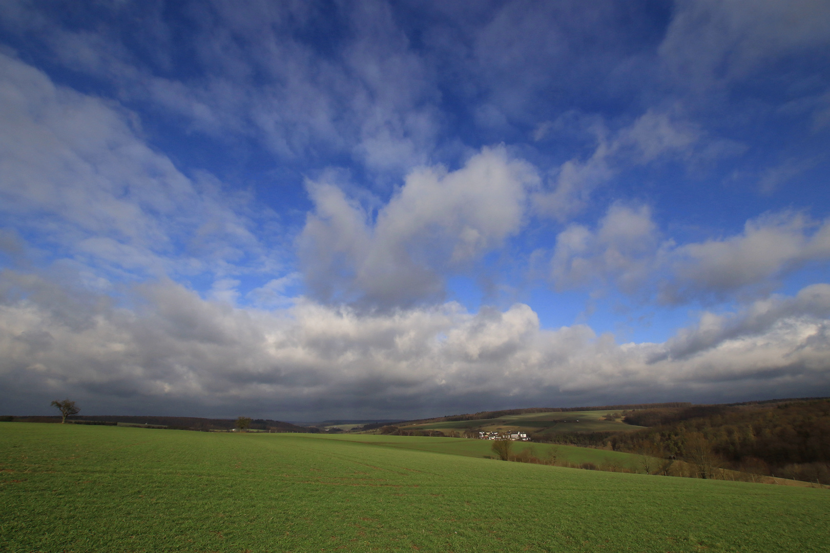 Februar im Taunus 