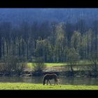 "Februar" im WESER BERGLAND- KALENDER 2012