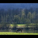 "Februar" im WESER BERGLAND- KALENDER 2012