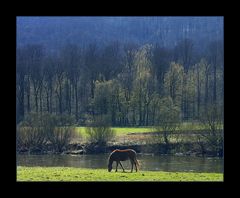 "Februar" im WESER BERGLAND- KALENDER 2012