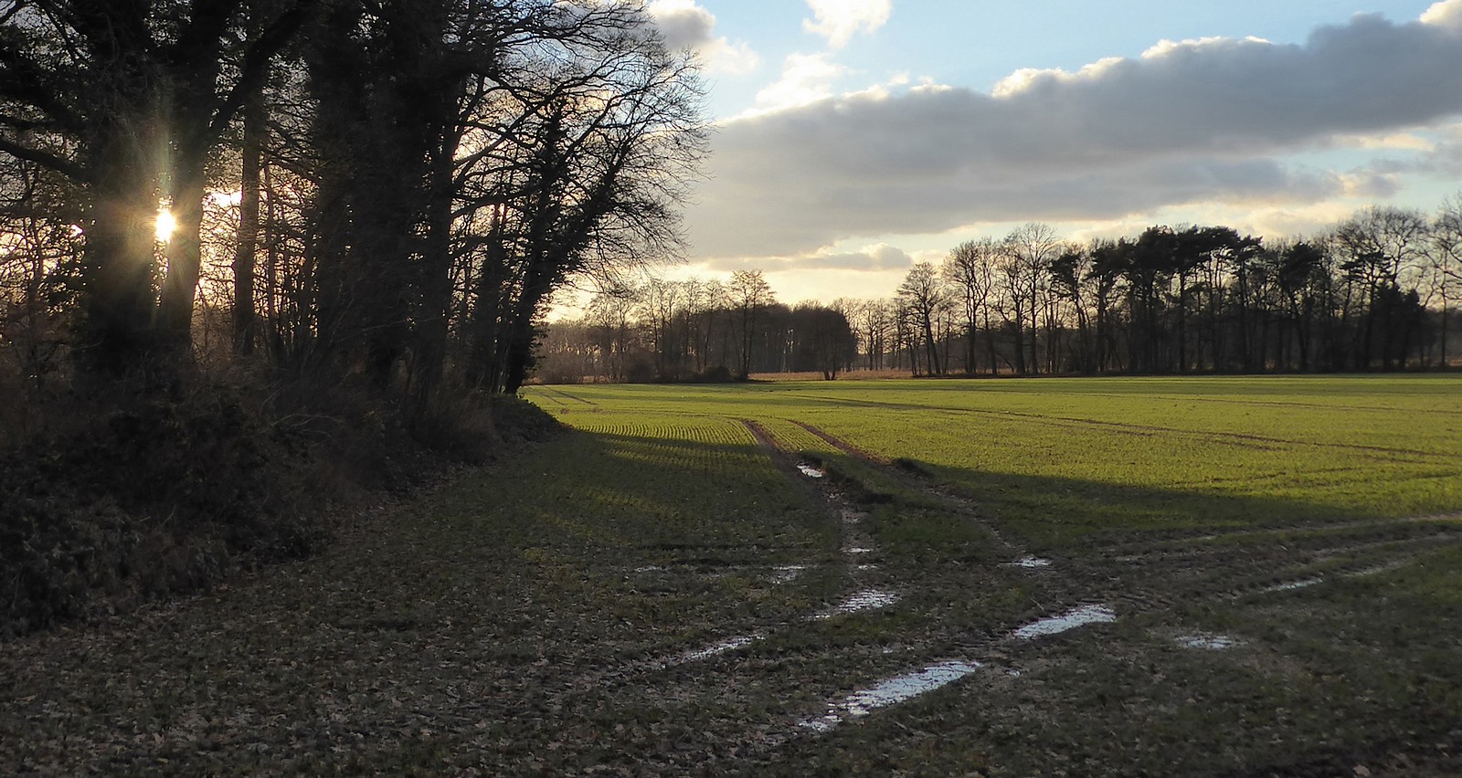 Februar-Landschaft 