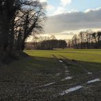 Februar-Landschaft 