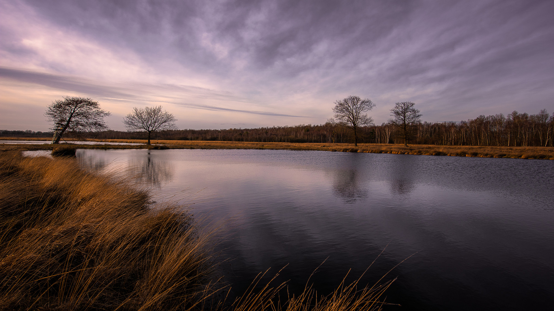 Februar-Moor