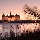 Februar-Morgen, Moritzburg