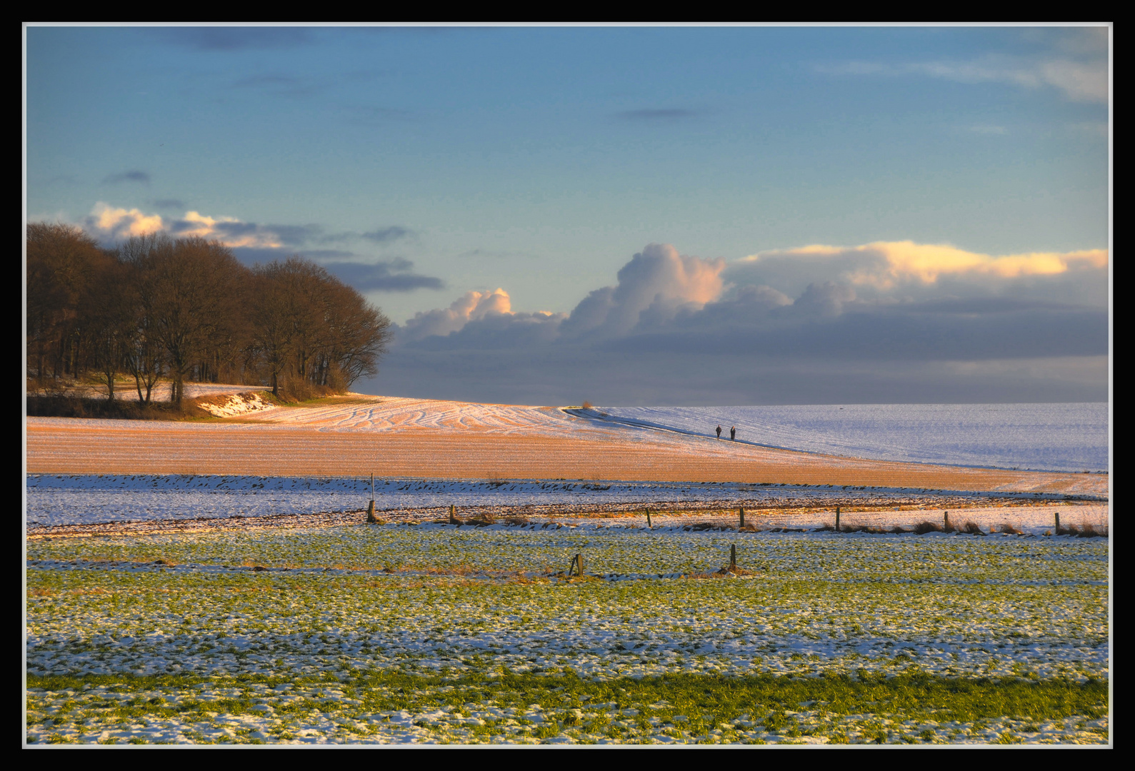 Februar-Nachmittag