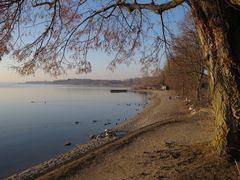 Februar-Nachmittag bei Chieming